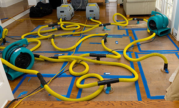 Professional Crawl Space Water Removal technician working in Marysville, IN